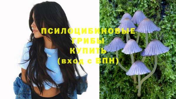 2c-b Богданович