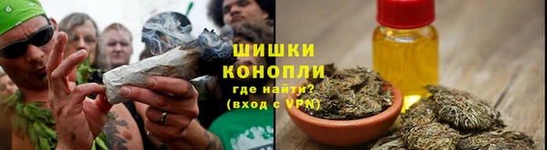 стаф Богородицк