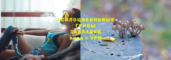 стаф Богородицк