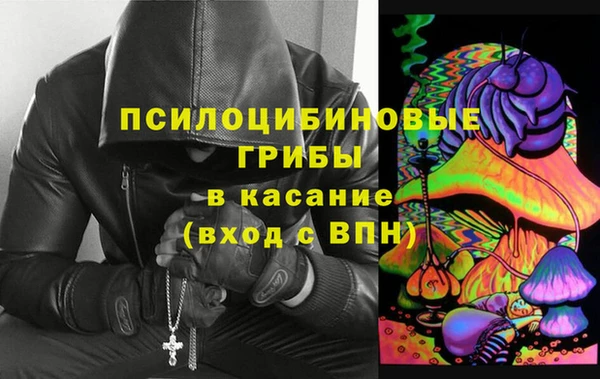 2c-b Богданович