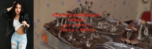 2c-b Богданович