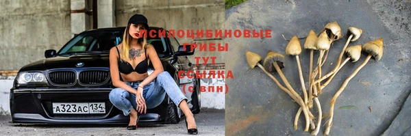 кристаллы Богородск