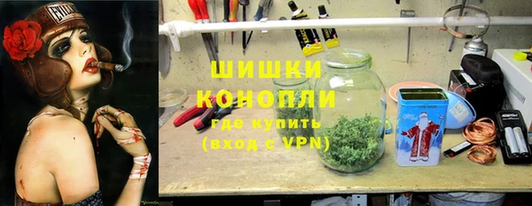 стаф Богородицк