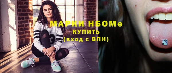 стаф Богородицк