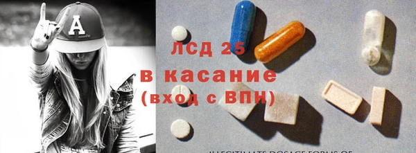 стаф Богородицк