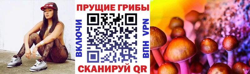 Псилоцибиновые грибы Psilocybine cubensis  Купить  Губаха 